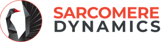 Sarcomere Dynamics