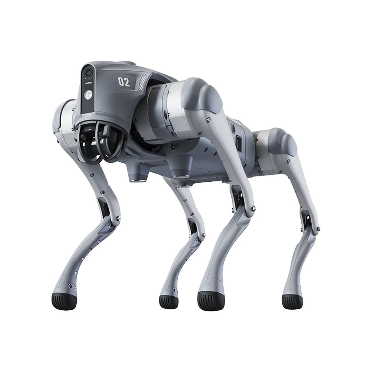 Unitree Go2 quadruped robot on a white studio background