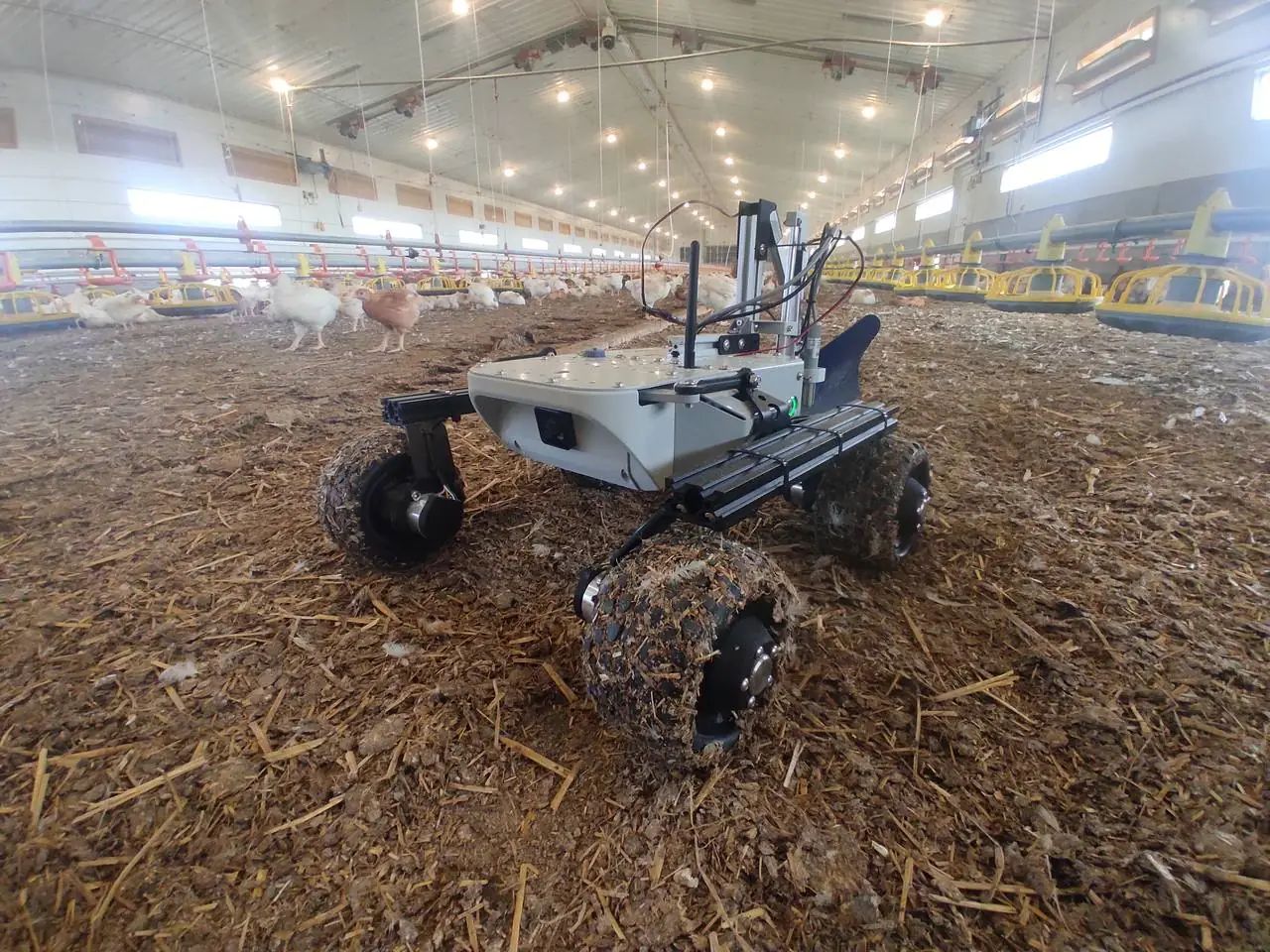 Leo Rover working with FLOX at a poultry farm
